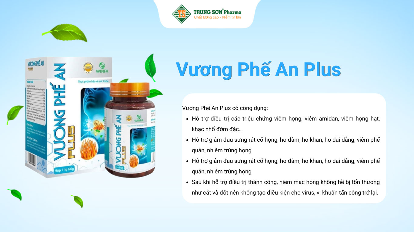 Vương Phế An Plus – Hỗ trợ điều trị viêm phế quản, viêm họng, viêm Amidan