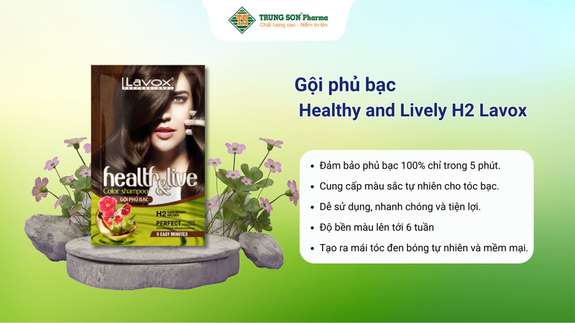 Gội phủ bạc Healthy and Lively H2 Lavox 