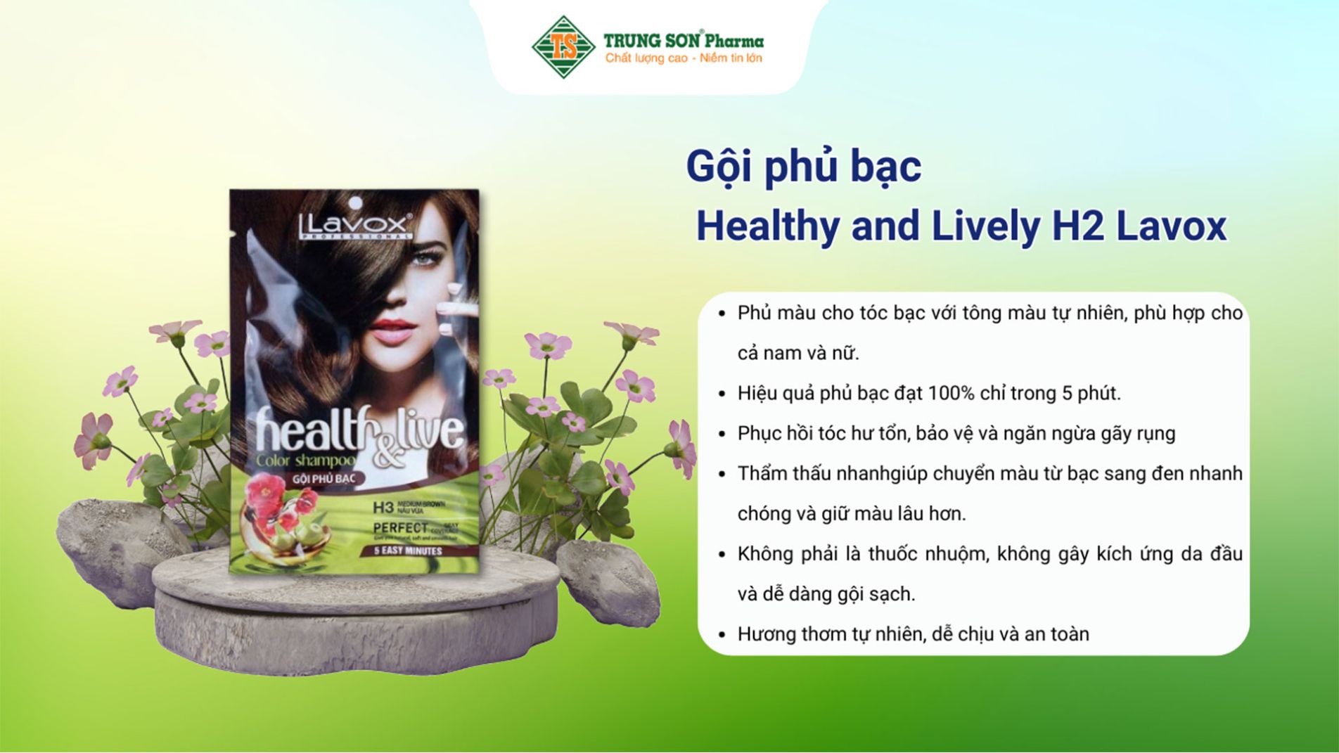 Gội phủ bạc Healthy and Lively H3 Lavox (10 gói x 30ml)