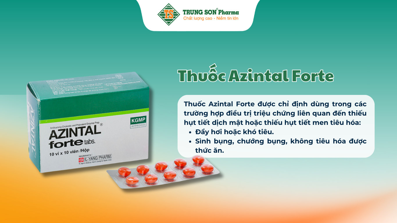 thuoc-cetirizin-10mg-tv-pharm-dieu-tri-viem-mui-di-ung-may-day-10-vi-x-10-vien (1)