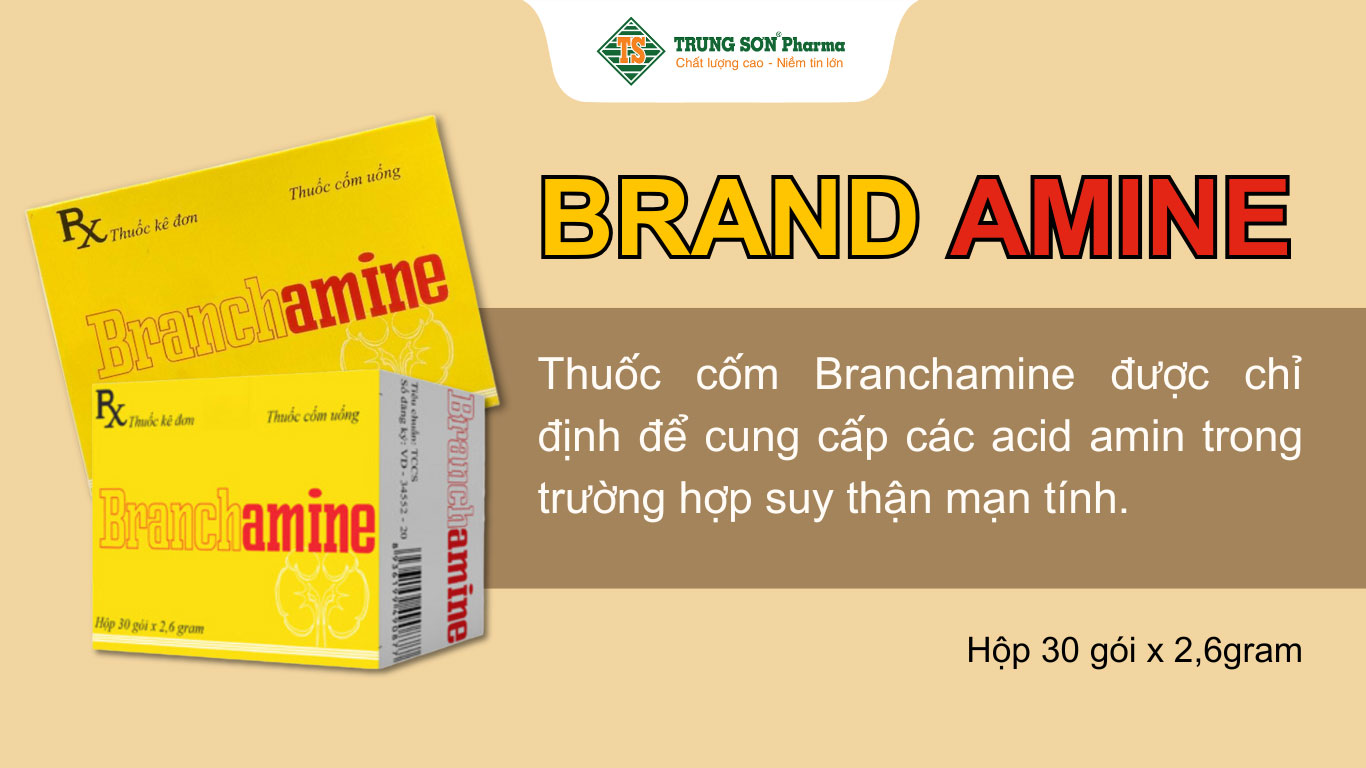 Thuốc cốm Branchamine cung cấp các acid amin trong trường hợp suy thận mạn tính