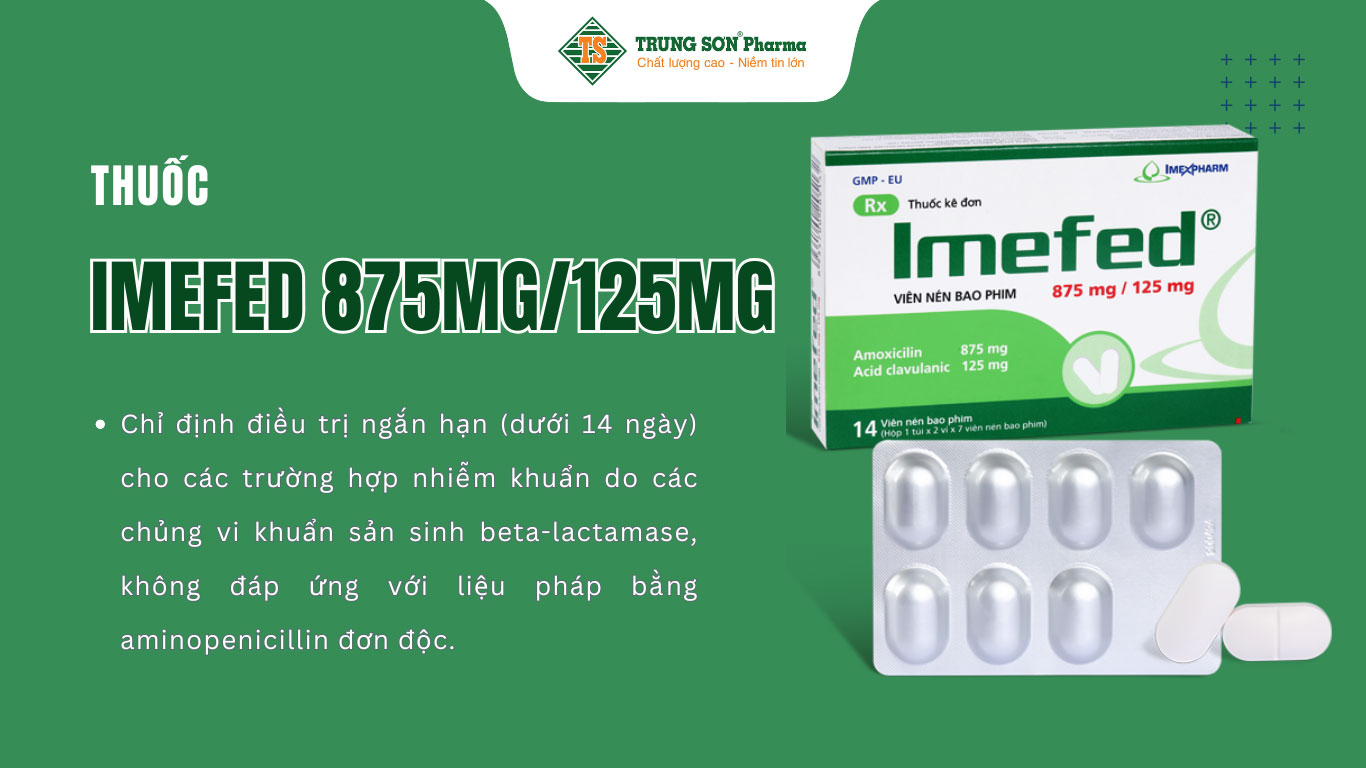 Thuốc Imefed 875mg/125mg điều trị nhiễm khuẩn nặng đường hô hấp