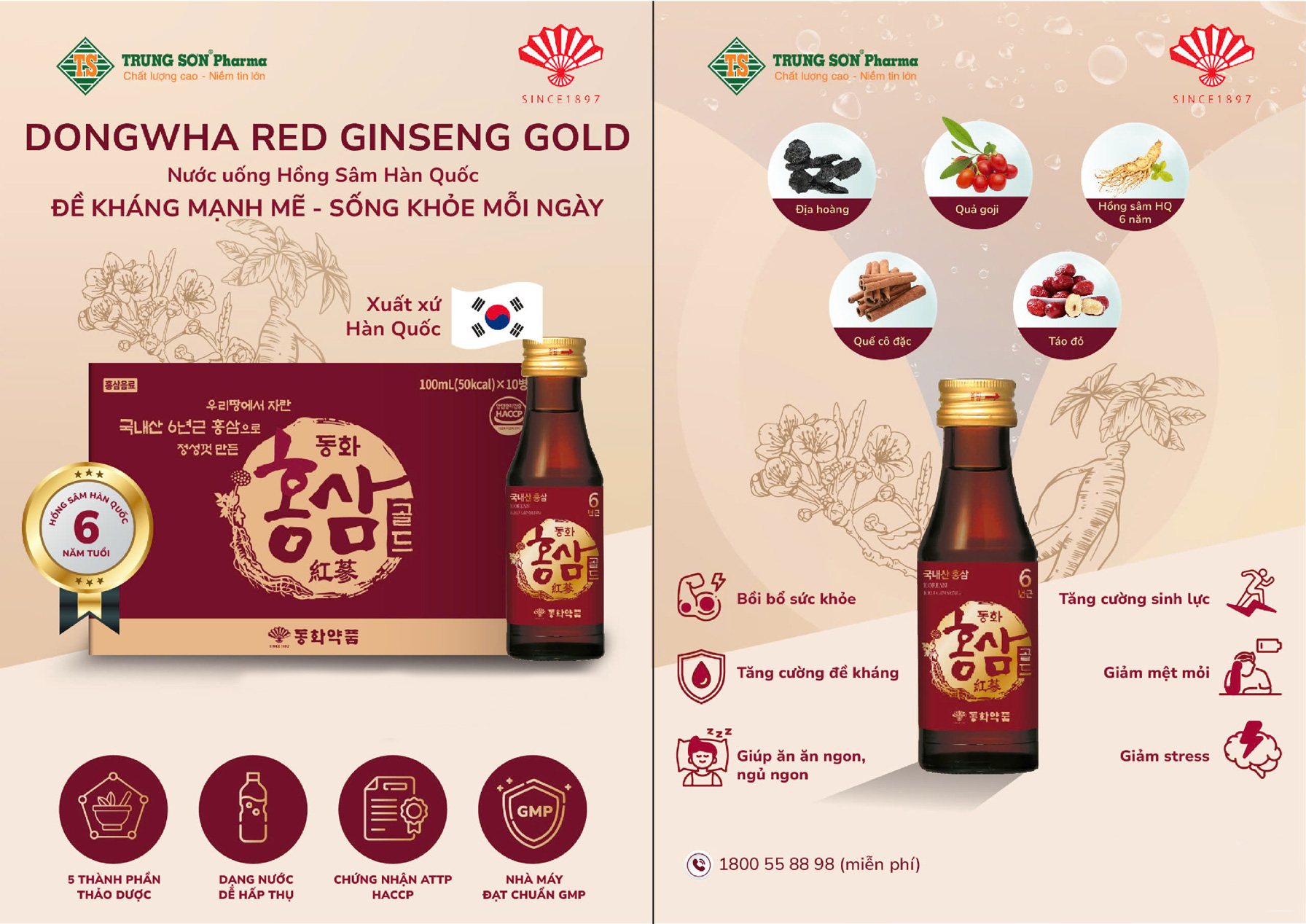 Nước hồng sâm Dongwha Red Ginseng Gold Drink 100ml