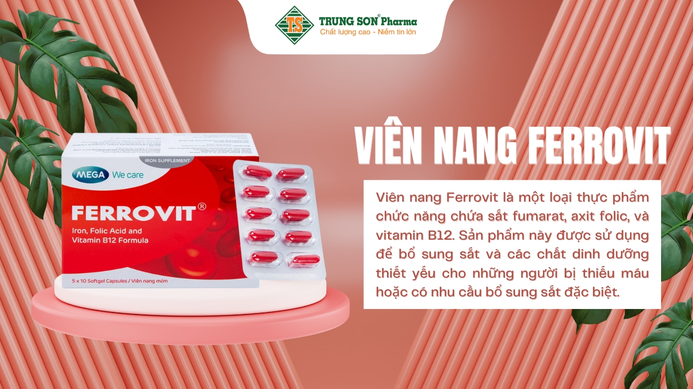 vien-nang-ferrovit (1)