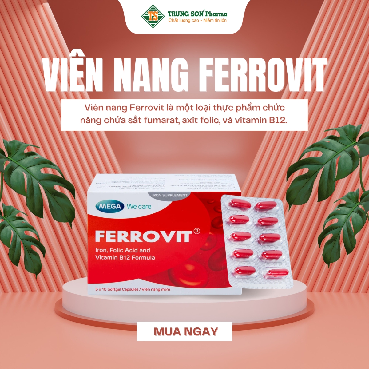 vien-nang-ferrovit