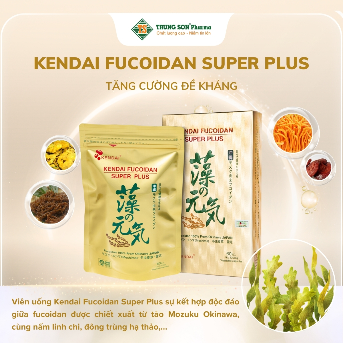 vien-uong-kendai-fucoidan-super-plus-sumioka