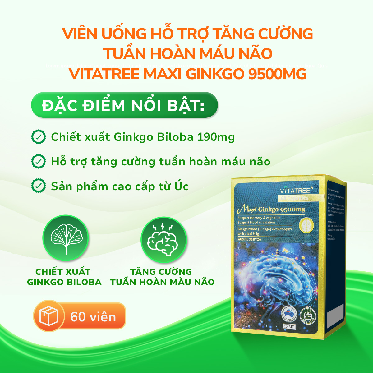 Viên uống Maxi Ginkgo 9500mg Vitatree hỗ trợ tăng cường tuần hoàn máu não (Hộp 60 viên)