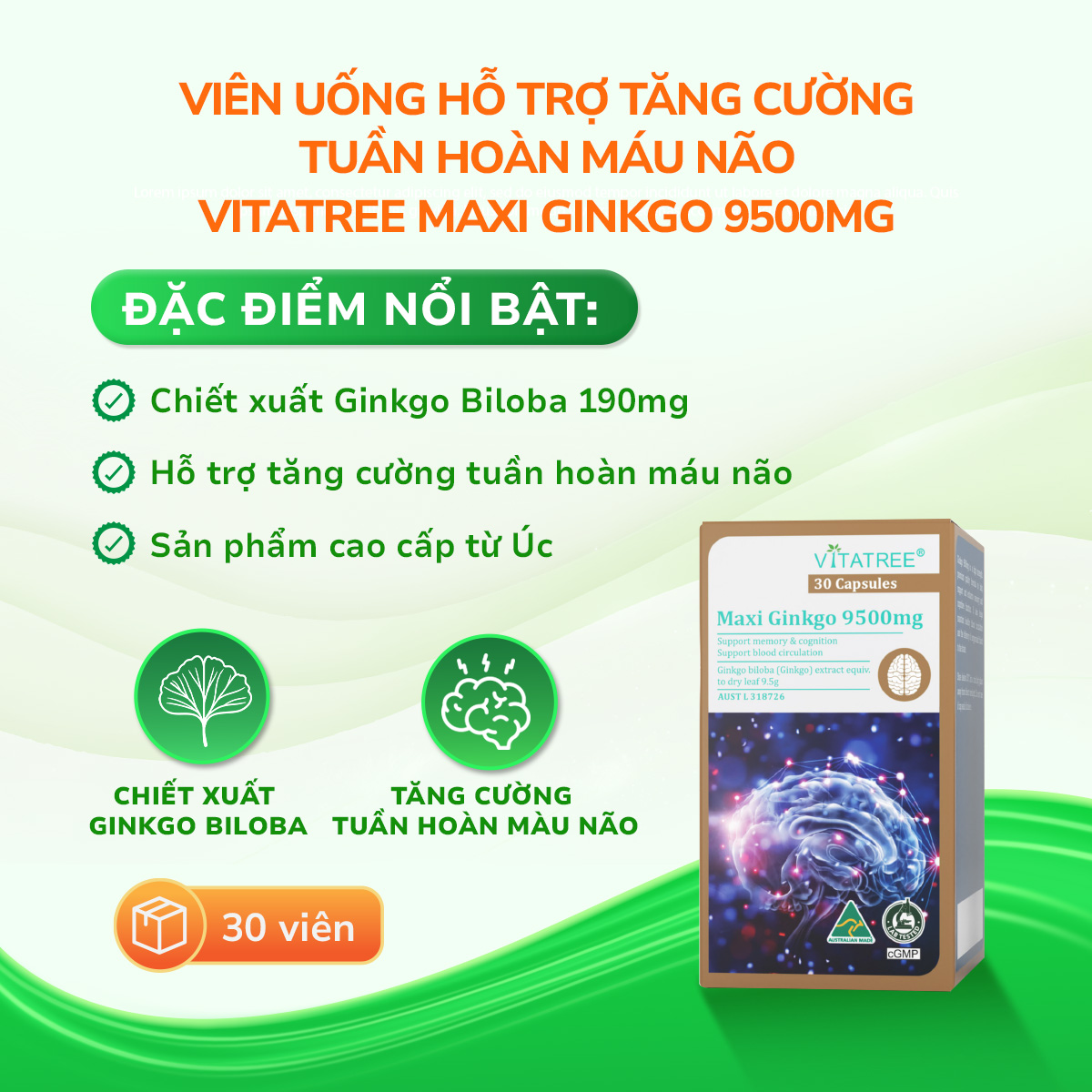 Viên uống Maxi Ginkgo 9500mg Vitatree tăng tuần hoàn não, bổ não (Hộp 30 viên)